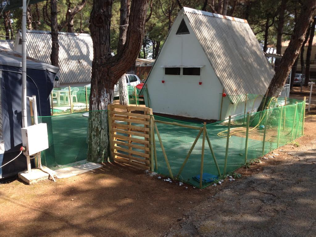 Olympos Beach ปลากา ลิโตโคโร ภายนอก รูปภาพ