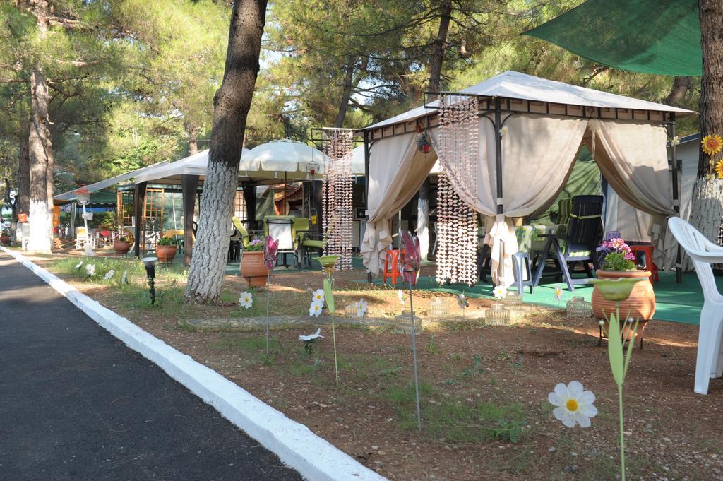 Olympos Beach ปลากา ลิโตโคโร ภายนอก รูปภาพ
