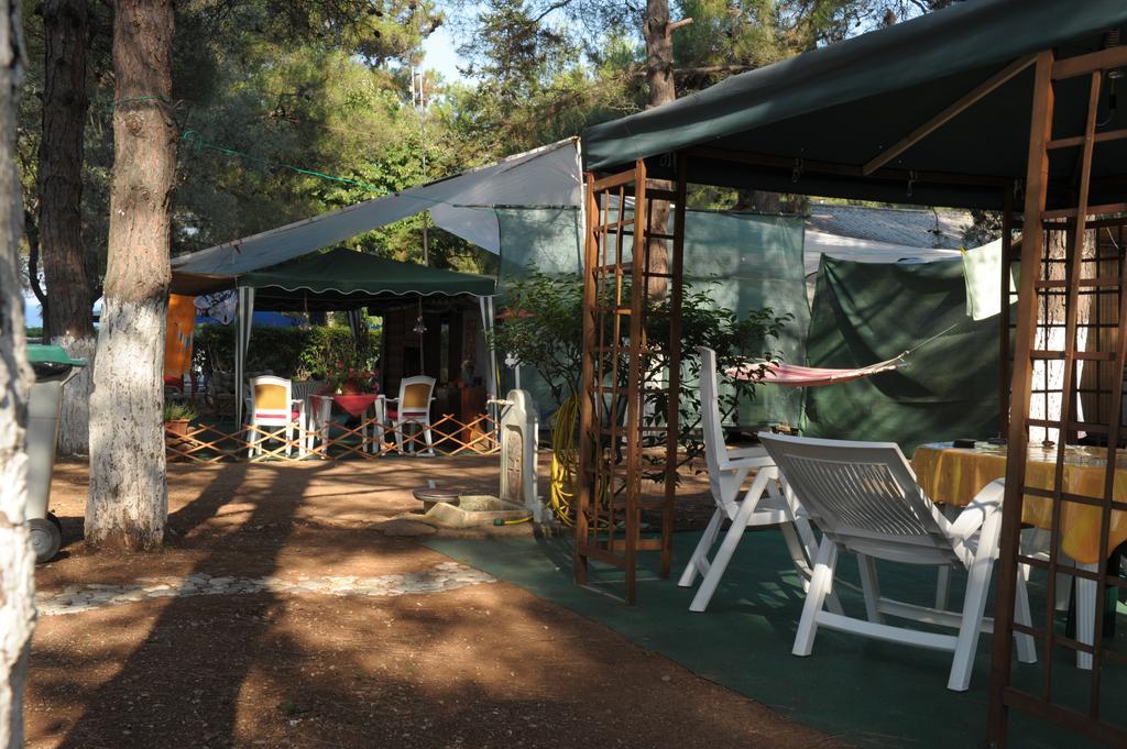 Olympos Beach ปลากา ลิโตโคโร ภายนอก รูปภาพ